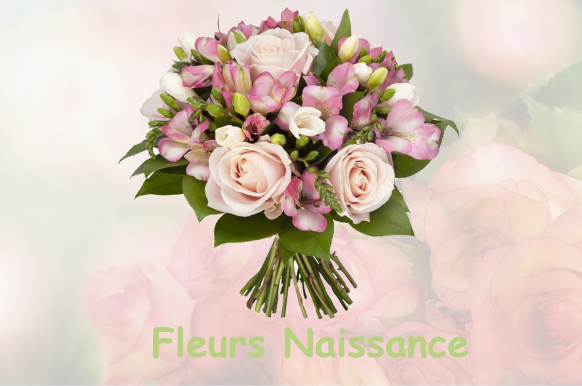 fleurs naissance SAINT-DENIS-D-AUGERONS